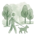 Illustration Promenade canine